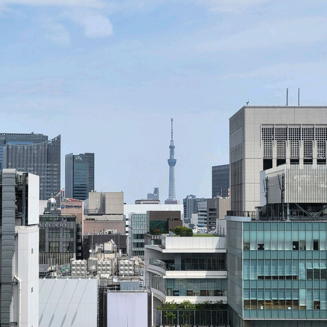 【Ginza Six】屋上から望む東京の景色！