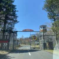 富士野生動物🦒🐒