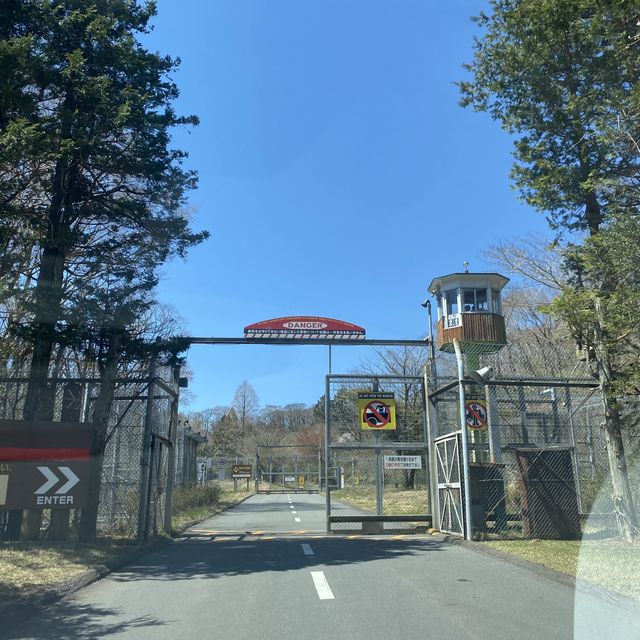 富士野生動物🦒🐒