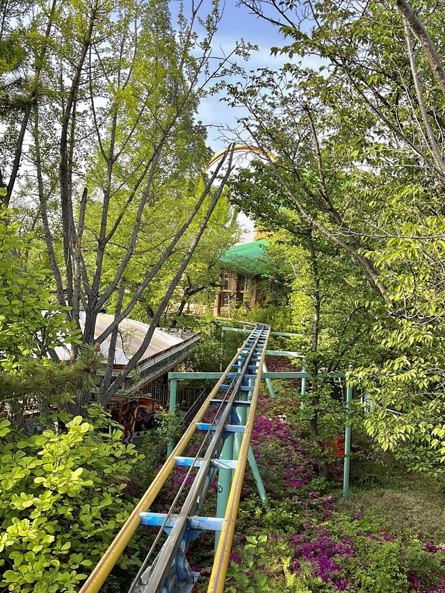 경주 필수코스인 ‘경주월드‘🎡🎠🎢