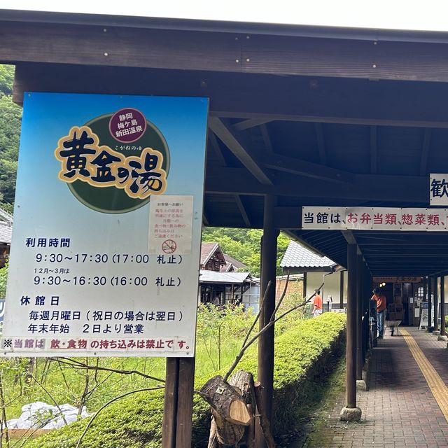 ハンモックに揺られ、静岡の山々を眺めながらの露天風呂