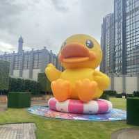 新濠影匯水上樂園