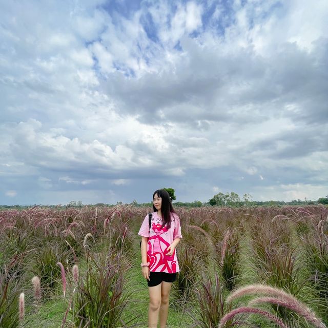 Hello ภูผาม่านนนนสวยที่สู๊ดดดดด🌳🏞️