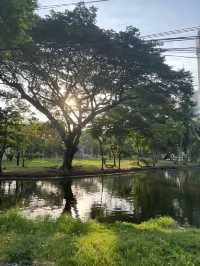 방콕에서 제일 추천하는 Lumphini park