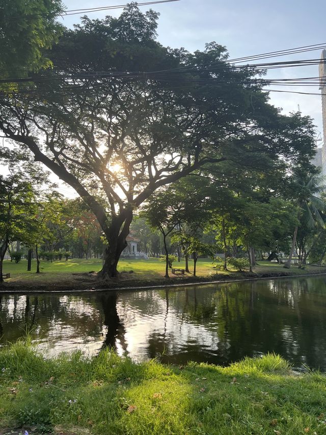 방콕에서 제일 추천하는 Lumphini park