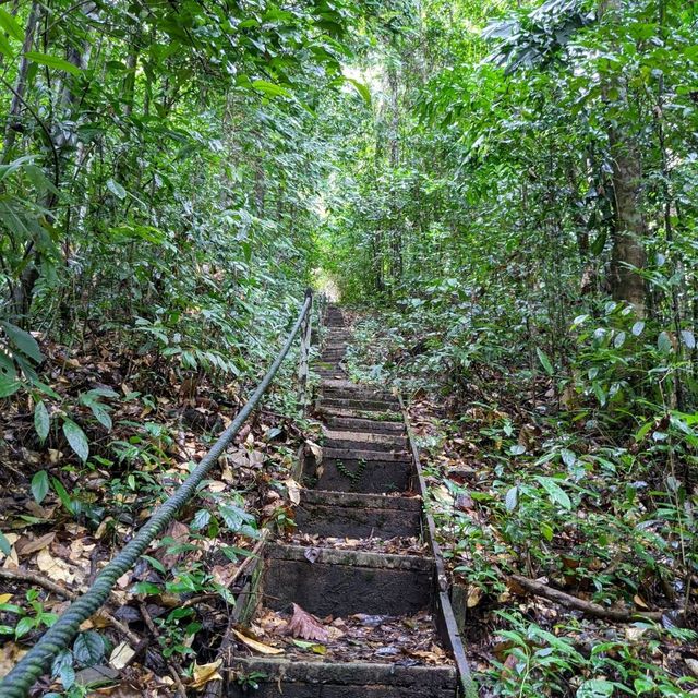 A Nature Lover's Paradise: Gunung Gading Lundu