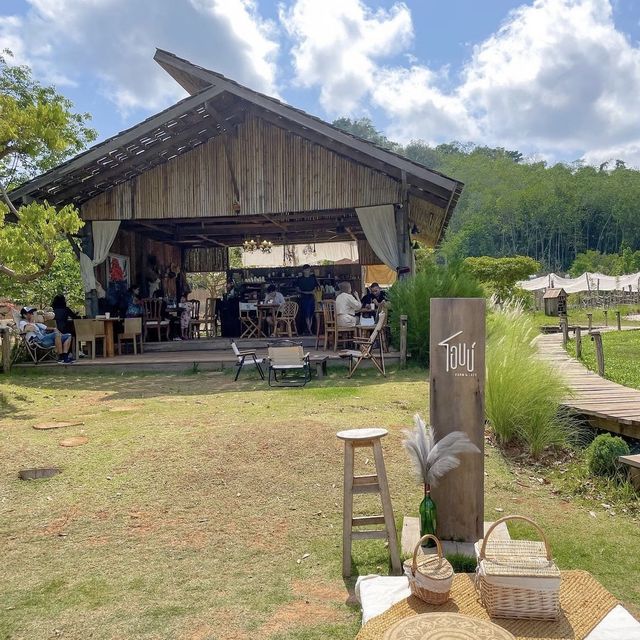 โอบบ์ ฟาร์ม แอนด์ cafe'