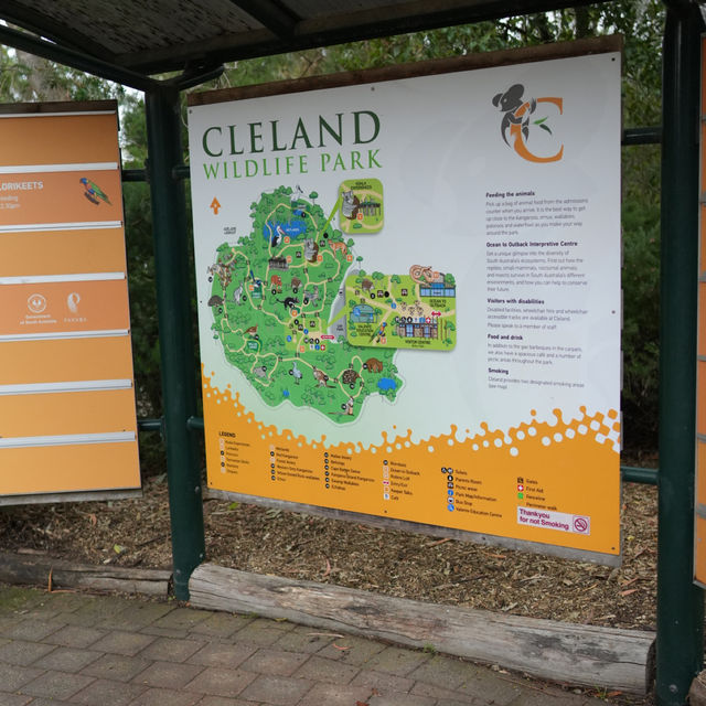 "Cleland Wildlife Park: A Serene Sanctuary fo