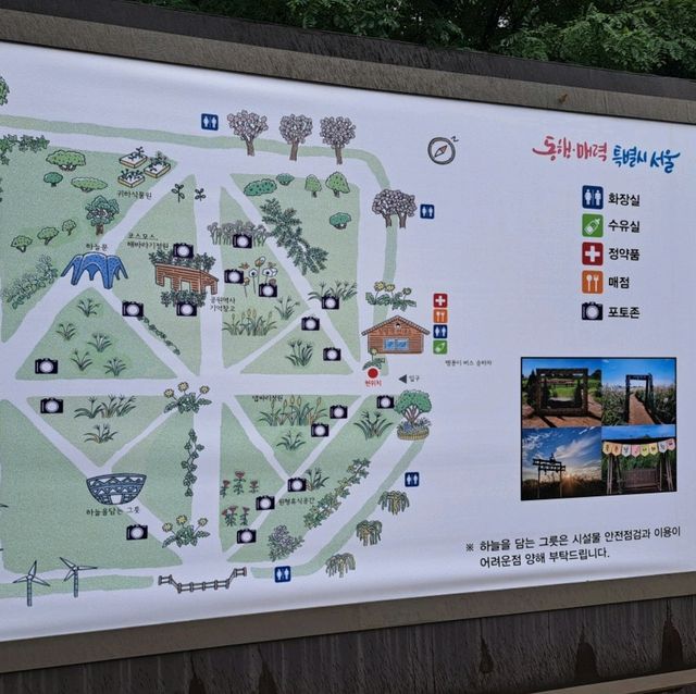 韓國景點📸天空公園🥰親親大自然⭐打卡熱點😍