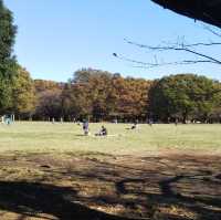 代々木公園