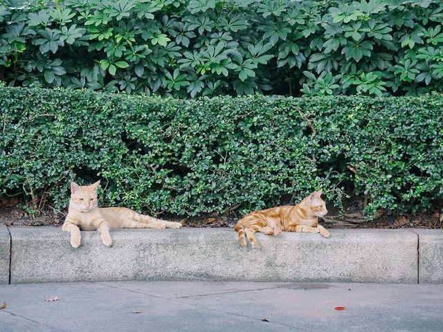 打卡廣州烈士陵園