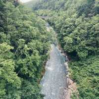 追尋夏日瑰寶！白鬚瀑布，北海道美瑛的清涼天堂