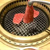 Organic Breeding Beef