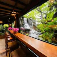 Dining in tropical garden