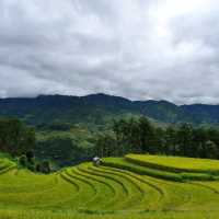 Vành Móng Ngựa Terraced Rice Fields