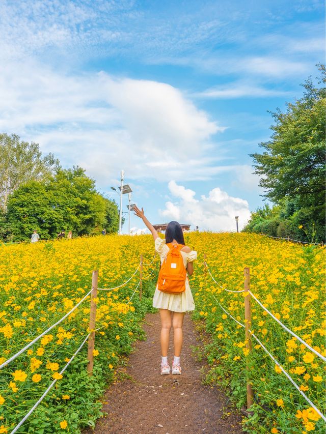 지금 서울에서 가장 먼저 달려가야 할 곳🌼 