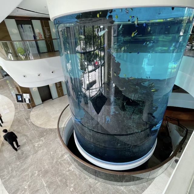 海洋公園萬豪酒店：海上探險🌊🏨🐠
