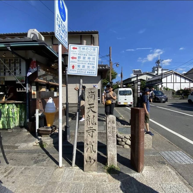 【京都府】人気の竹林の小径をのんびりお散歩！
