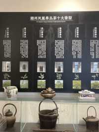 🍵潮州-鳳凰單叢茶博物館🍵