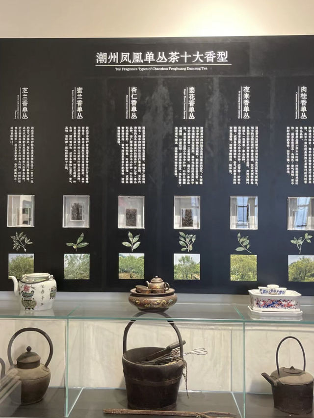 🍵潮州-鳳凰單叢茶博物館🍵
