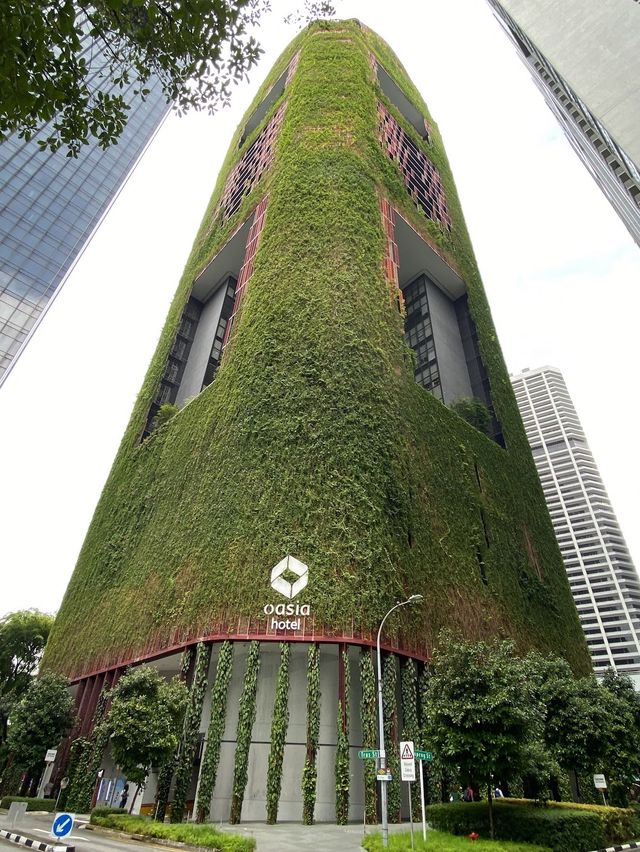 Oasia Hotel Downtown