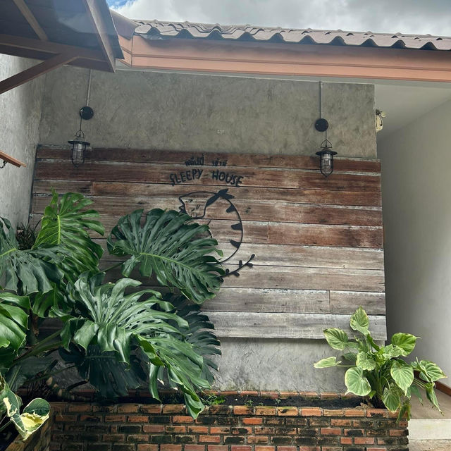 📍: Sleepy House 🐱🏡✨