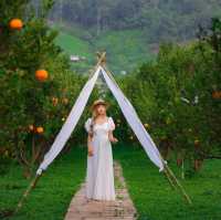 ที่พักเต็นท์กระโจมส่วนตัววิวสวยบรรยากาศดีมาก