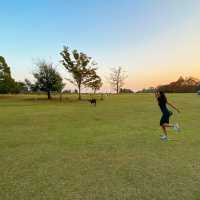 Warming up with deers in Nara 