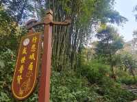 Amazing Leshan Giant Buddha Stone Statue 