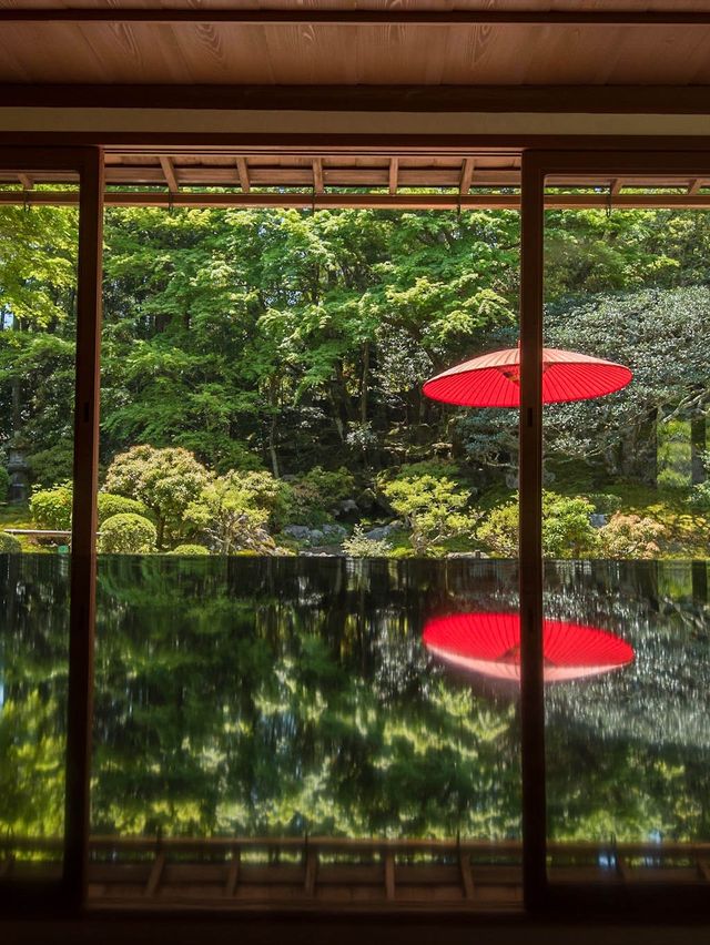 【初夏の新緑を味わおう！🌿】滋賀県・湖西エリアの新緑オススメスポット紹介&コース紹介！🚃✨