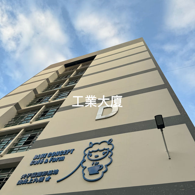 深圳一日遊 - 沉浸式機關密室逃脫+可可愛愛草泥馬