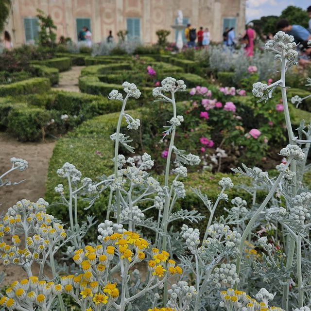 【佛羅倫斯皮蒂宮和博波利花園】俯瞰佛羅倫斯美景 歷史宮殿和經典花園！