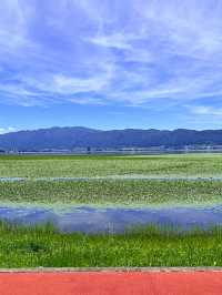 【長野】絶景が見れる立石公園✨