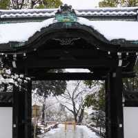 雪中遊玩🎿常念寺 