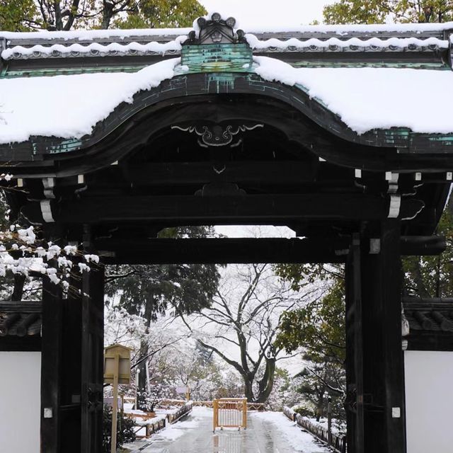 雪中遊玩🎿常念寺 