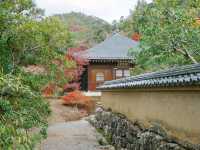 京都景點｜世界遺產金閣寺
