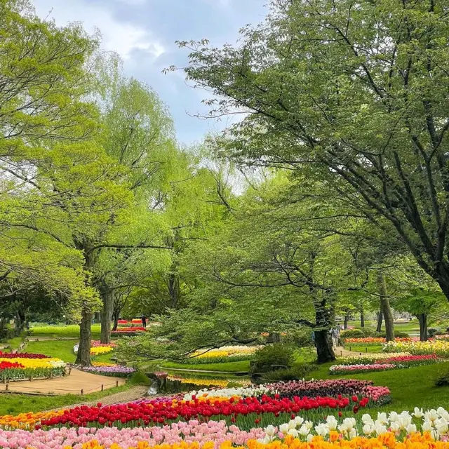 Showa Kinen Park Tokyo