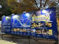 福岡・天神。クリスマスイルミネーションで華やかな『天神中央公園』