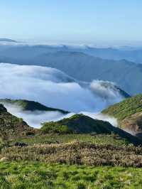 伊吹山：滋賀的自然名勝與登山者的天堂🗻🌸