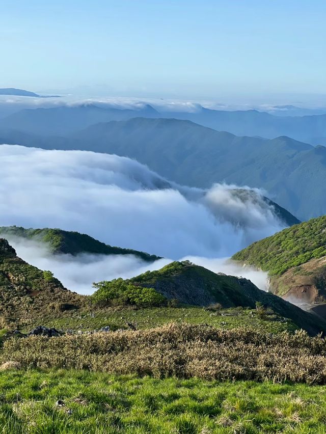 伊吹山：滋賀的自然名勝與登山者的天堂🗻🌸