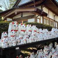 🇯🇵東京最新打卡點：豪德寺⛩️ 打卡招財貓大爆發🐱🤑
