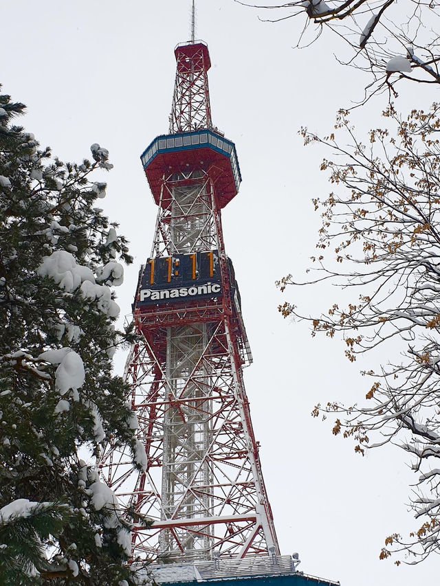 Sapporo Tower in Winter