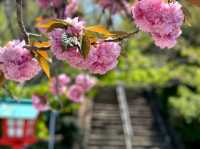 Habu Park