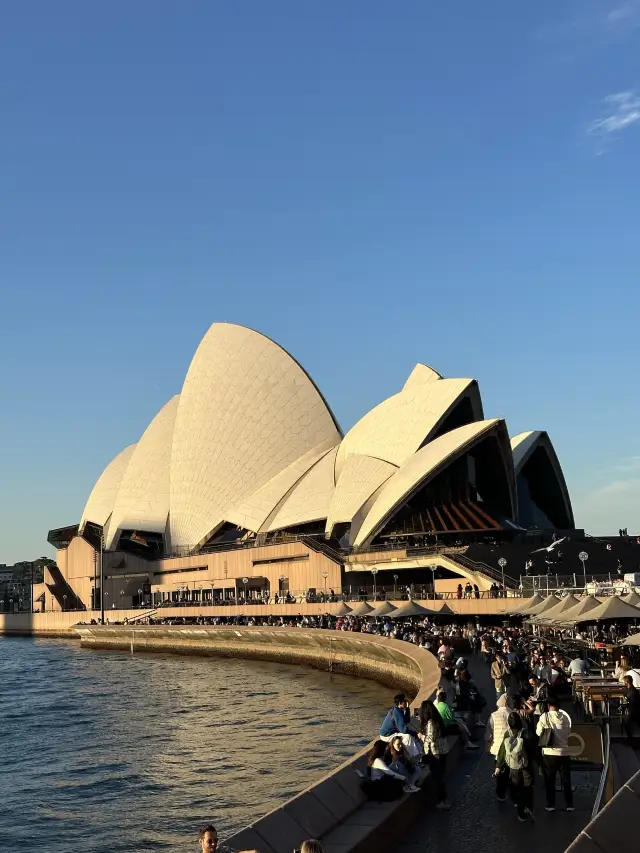 Sydney day trip
