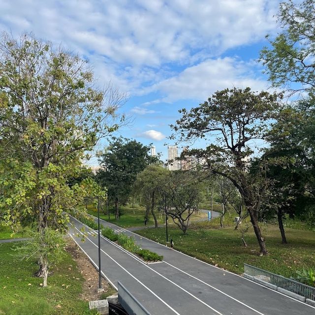 สวนป่าเบญจกิติ