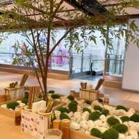 「過江龍拉麵，期間限定甜品set同正宗東京拉麵」