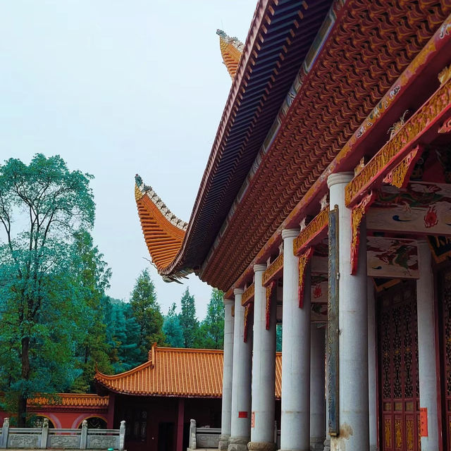 金台寺：寧靜禪境～身心靜修