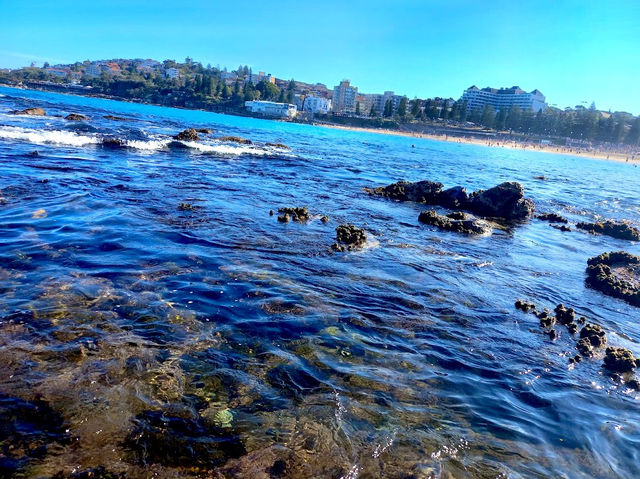 Coogee Beach