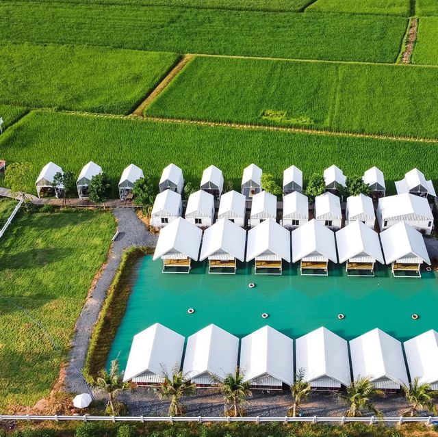 คาเฟ่วิวทุ่งนาเขียวบรรยากาศดีมาก ชัยภูมิ