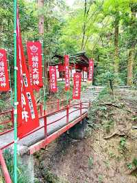 【寶登山神社/埼玉県】秩父三社の一社・鮮やかで華やかな社殿